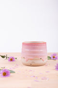 Cup (1141)